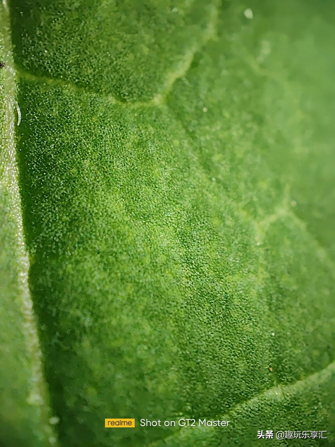 realme真我gtneo2t优缺点,真我realmegt2大师探索版