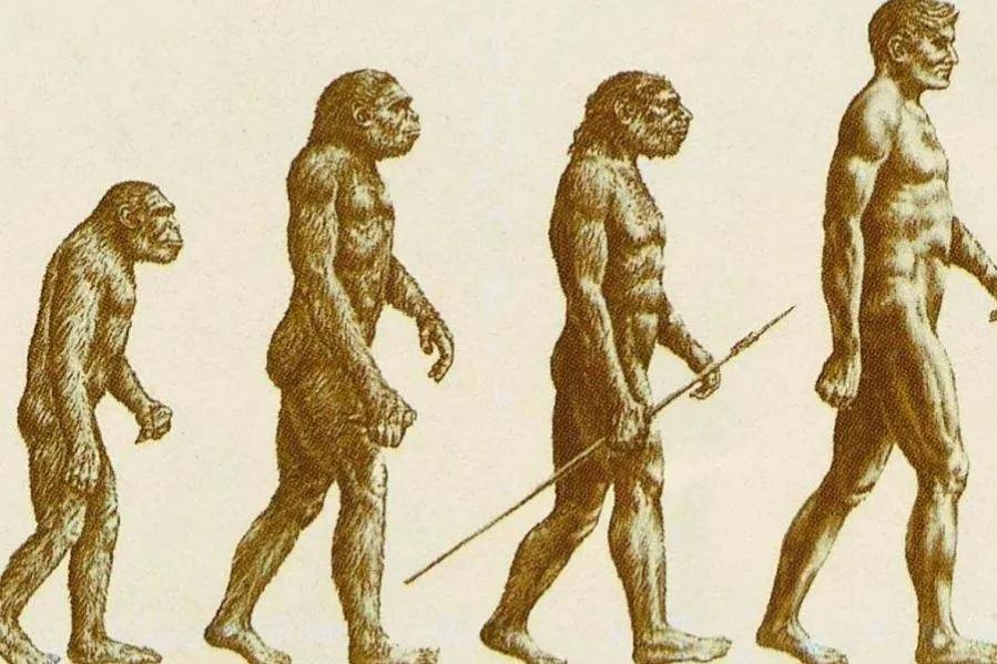 小脚趾被撞了骨头移位怎么办,小脚趾被磕到了一直疼怎么办