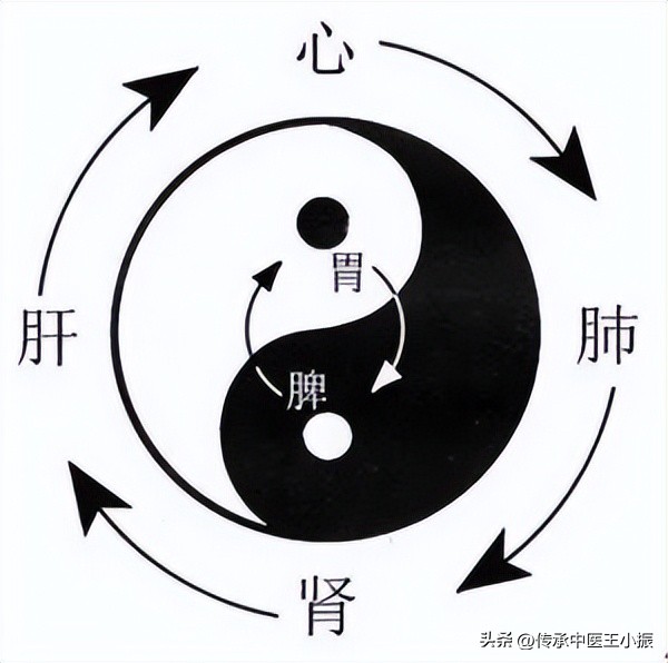 今日舌诊—实战分析—哺乳期女性，头晕口干、胸闷气短