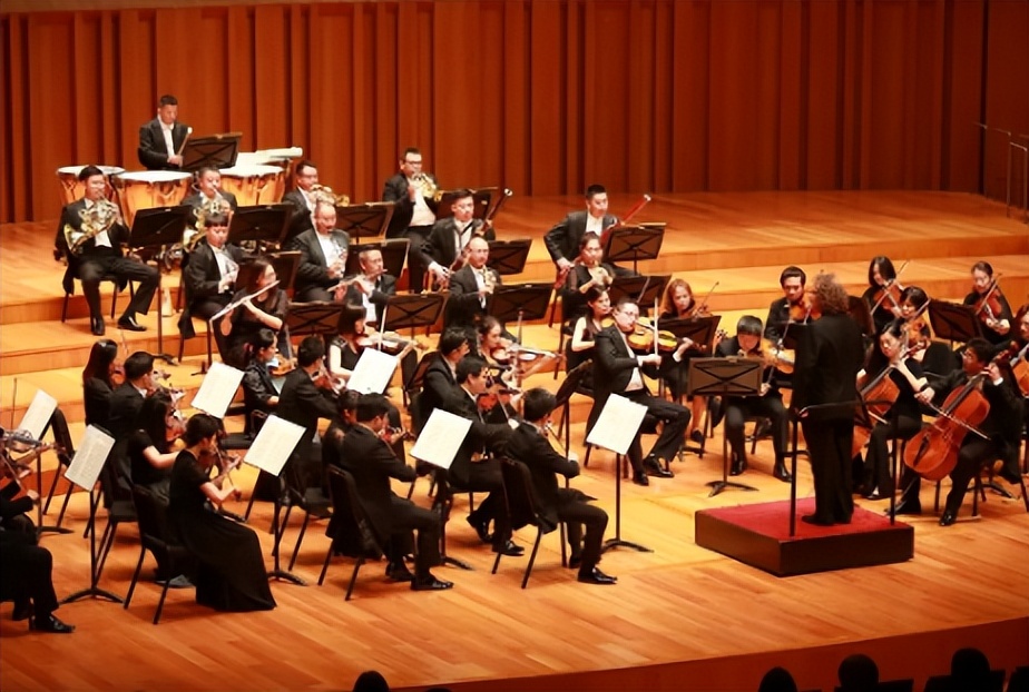 肖邦的风格把握,肖邦曲式分析报告怎么写