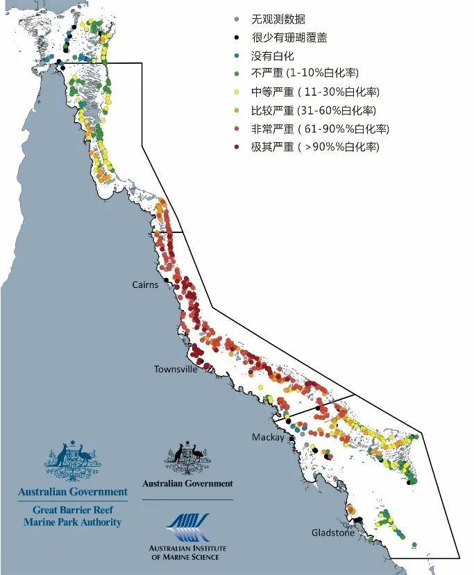 你变白后成什么样子,你变白以后有多好看