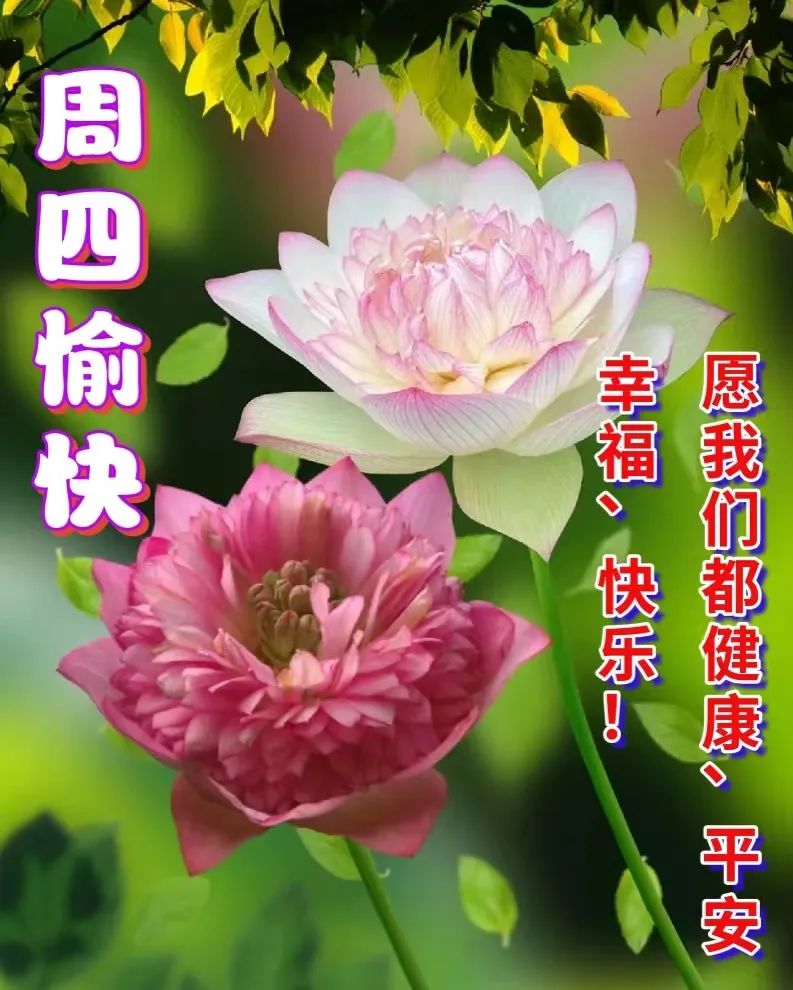 朋友关心问候语暖心感动的句子,问候祝福朋友开心快乐的温馨句子