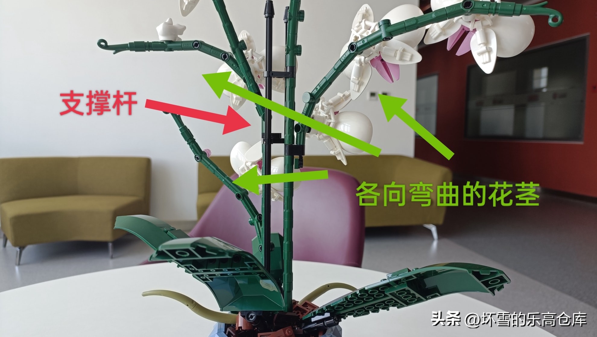 乐高兰花图片及价格,乐高兰花测评