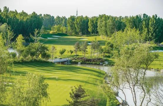 即将上新!点击看看约50米临江的生活是怎么样的?