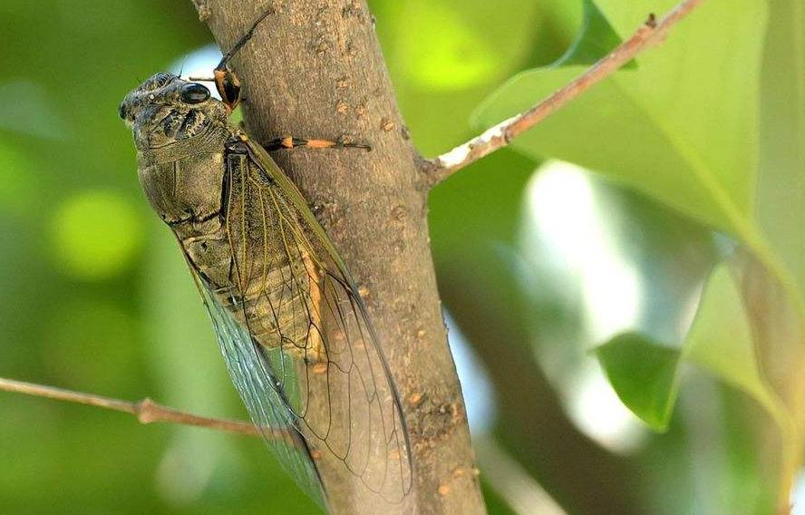 侯*红庆**|欲问红尘多少事，君知千载我无知（原创诗词十二首）