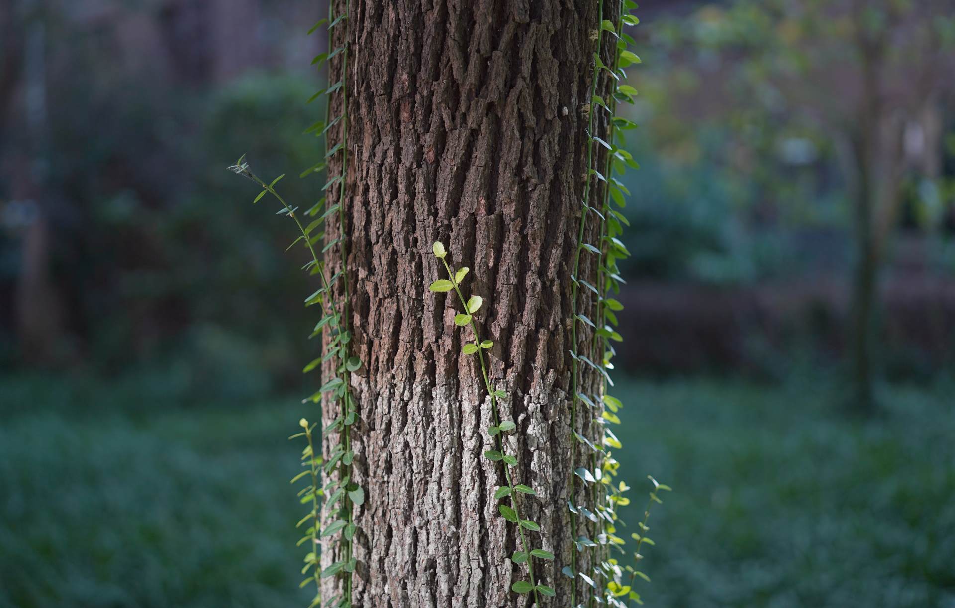值得入手的10款产品推荐,2022年中国值得期待的几款装备