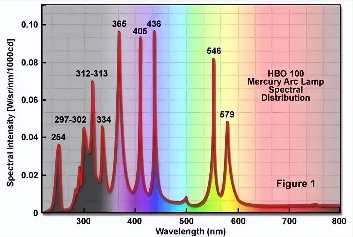 你知道吗？现在很多汽车流行“喝”这款绿色汽油！