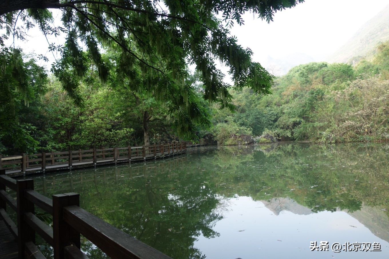 贵州黄果树最美的地方,贵州黄果树旅游攻略自由行