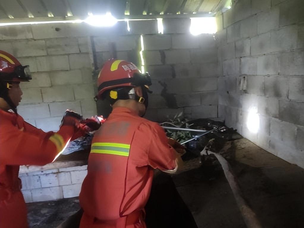 3米巨蟒被咬死,4米巨蟒吞下3只羊羔事件