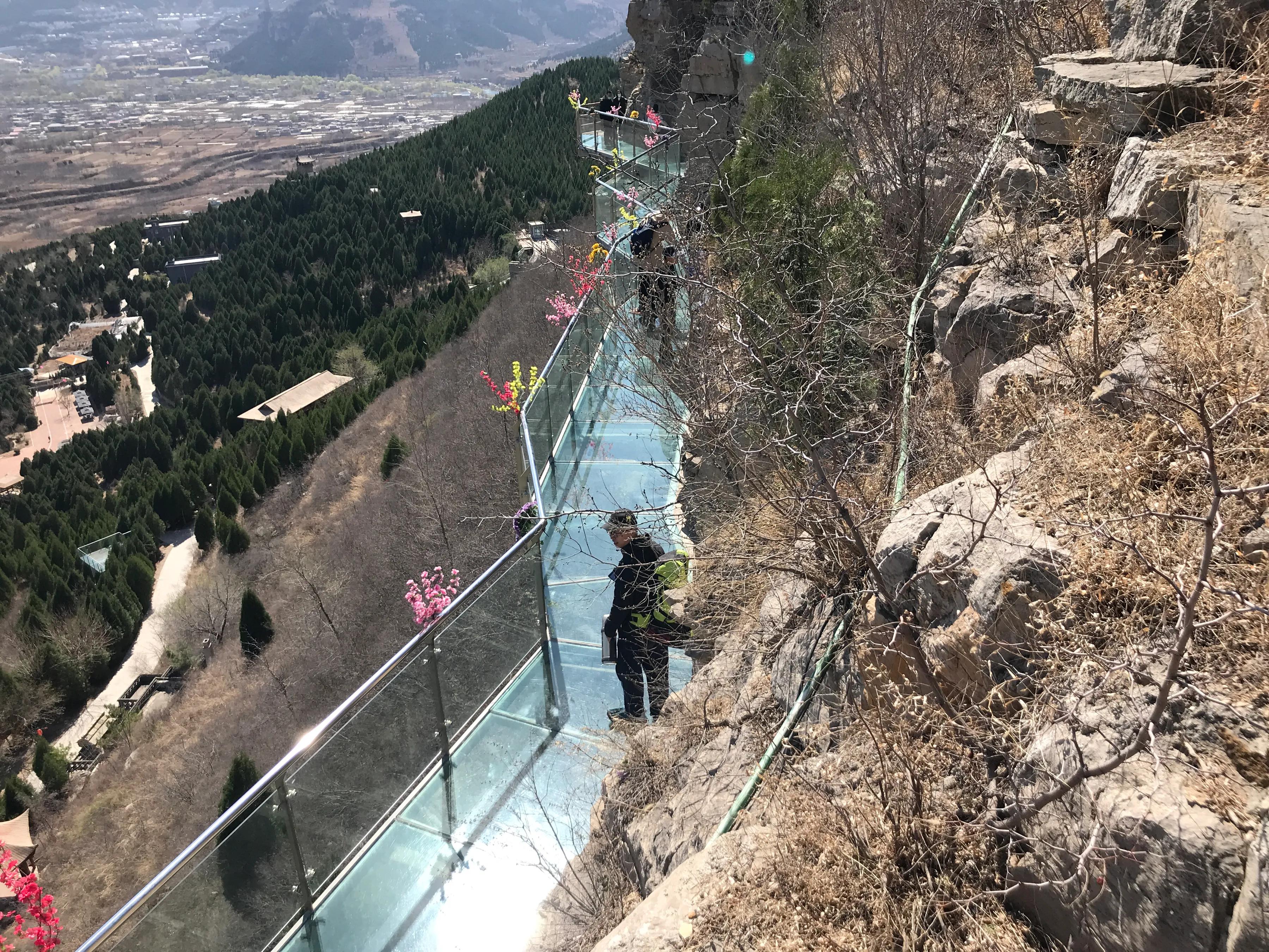 种下一棵希望的幼苗，交换出无限的快乐与成长