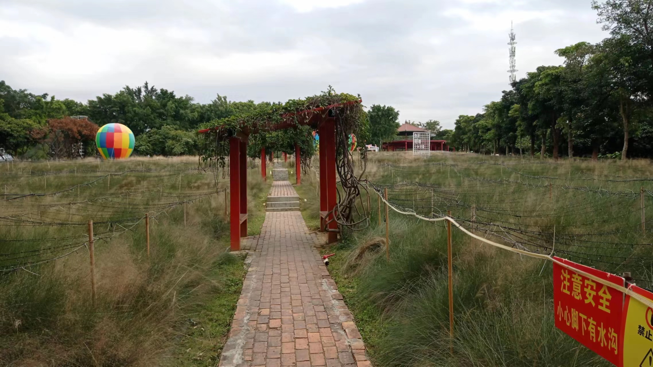 周朝阳微博账号被盗：亏大了！我正在尽力消除影响！