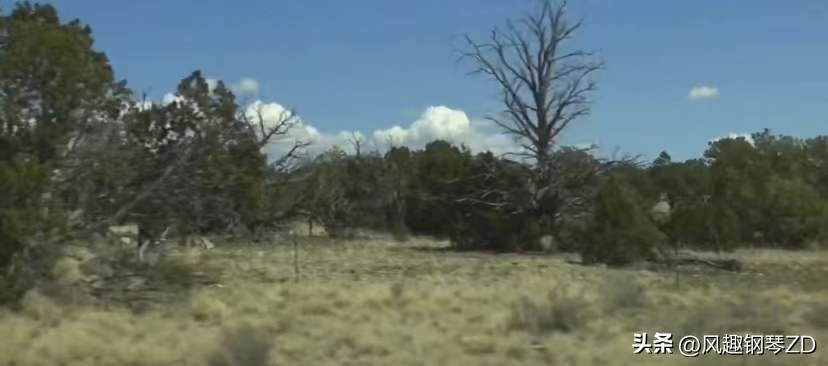 印度女子监狱的真实现状 (印度女子监狱的真实生活)