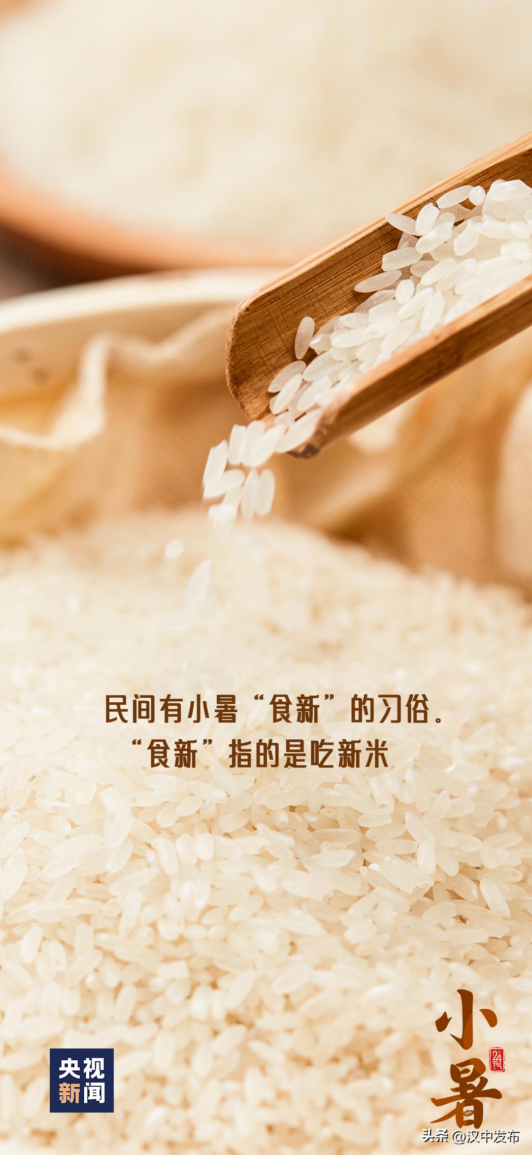 今日小暑风动莲生香心静自然凉,今日小暑诗句