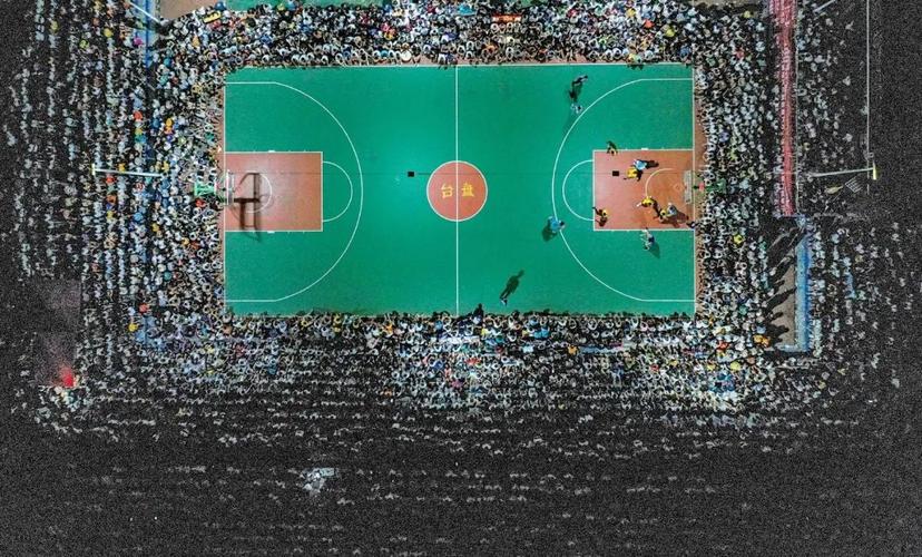 成功举办的村超、村BA，是否证明折耳根的营养价值高于海参