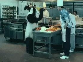 贴吧成为大神的条件是什么,贴吧要多少影响力才能成为大神