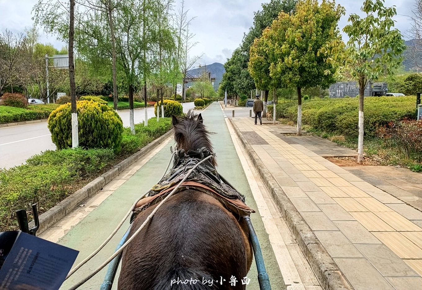 玩转云南自由行,昆明大理丽江6天5晚游多少钱