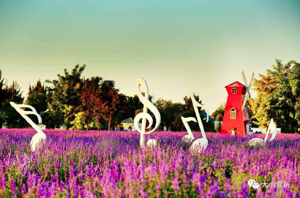 周末来袭快看看可以游玩的好去处 (游玩攻略这些地方你一定要看一看)