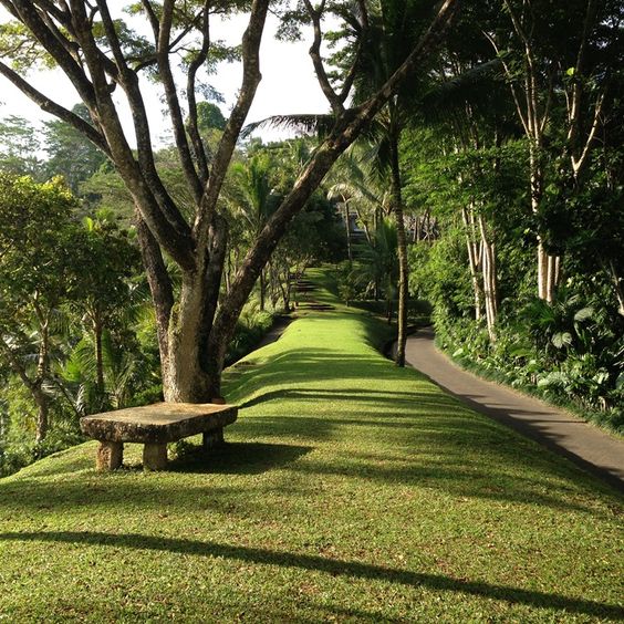 农场经营设计,怎样才能让农庄赚钱
