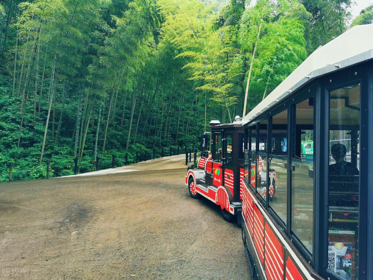 美丽中国之江苏,天目湖南山竹海美景