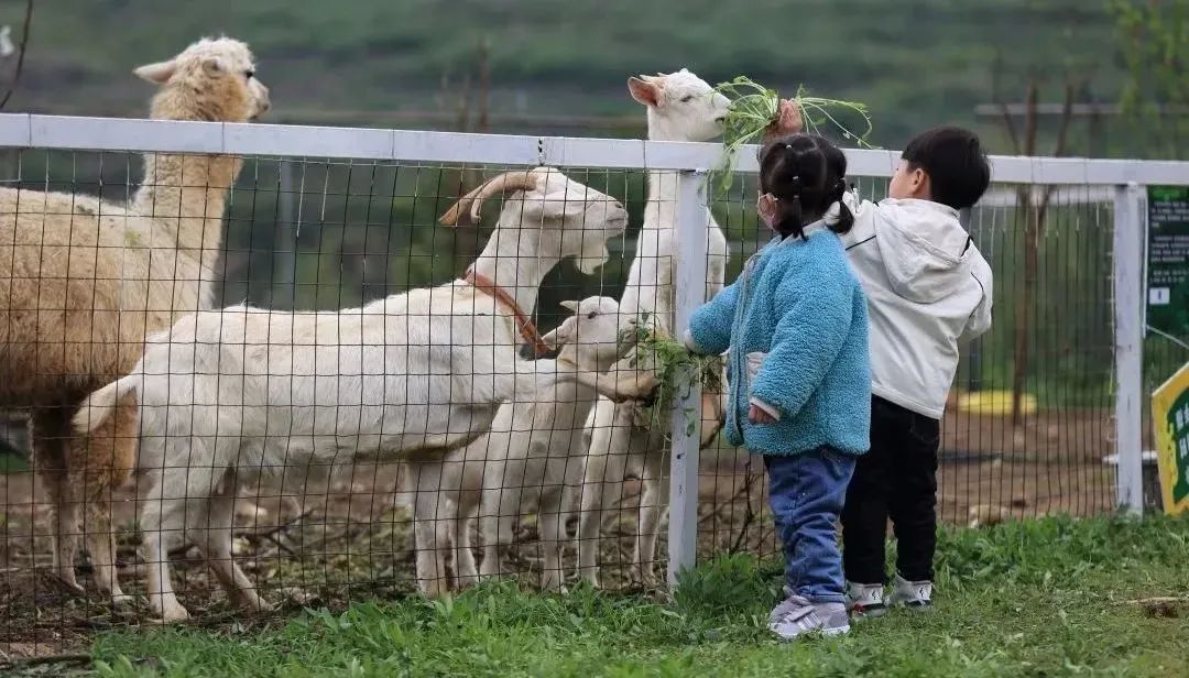 郑州市五一旅行,五一郑州游