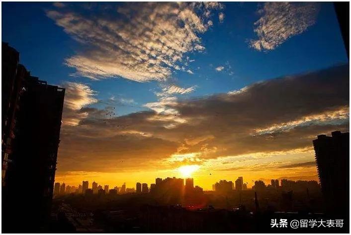 From：英国「雨果学姐」的圣诞特刊