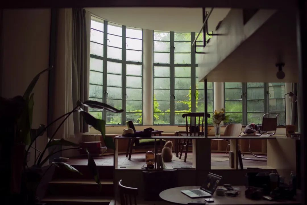 独居上瘾,独居真的很上瘾