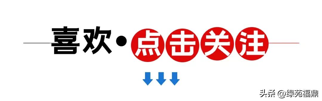 济南市绿苑福鼎老年公寓为老人组织趣味投球活动