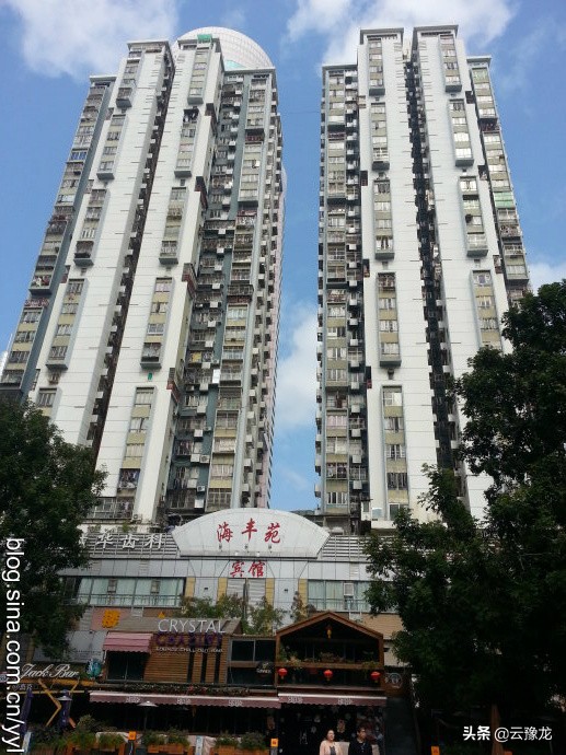 十五、风吹树摇：《追逐太阳——下海到深圳经商的东北人》