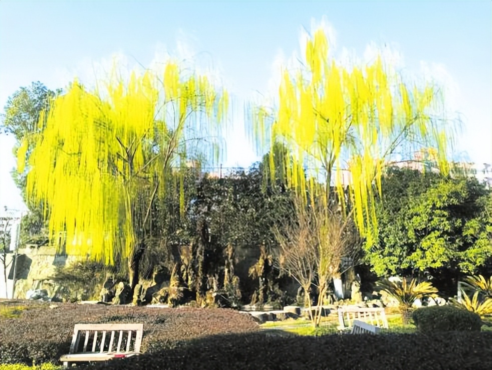 文明引领逐梦远航——曾都区第一中学风采展示