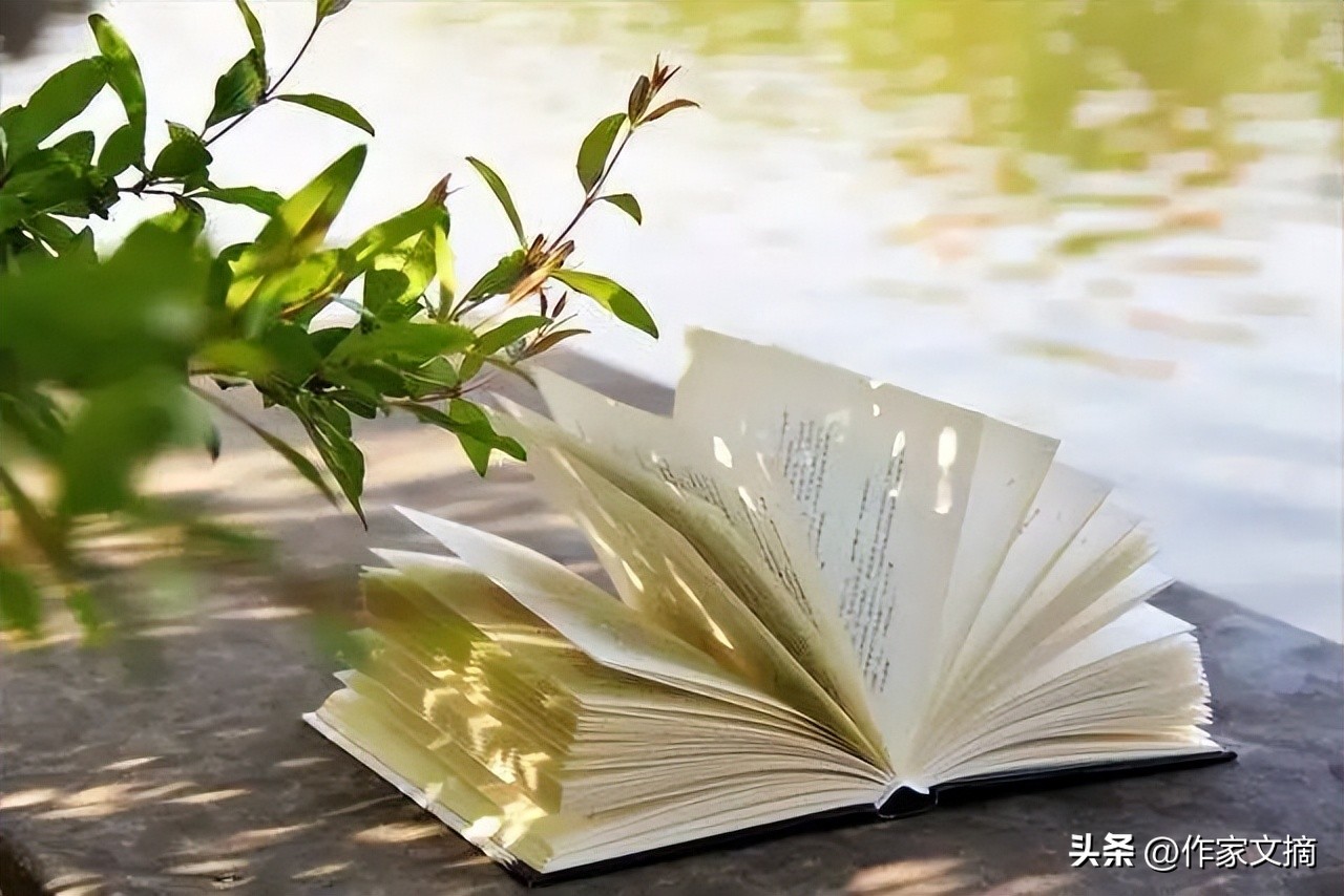 书香中国全部视频,书香中国悦读文学