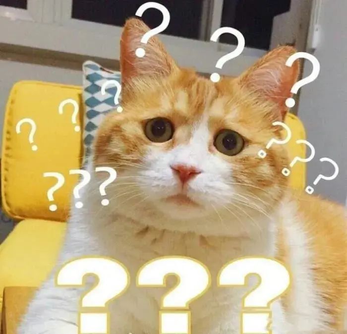 炒股需要记住哪些投资规则,新手炒股投资必看