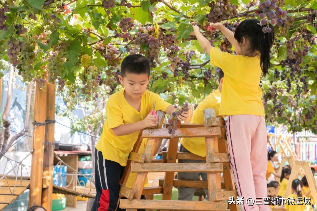 秋光如岁邂逅一场欢喜——临猗县直一园开学季