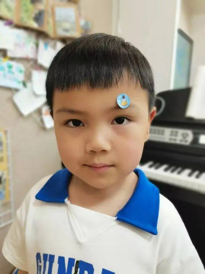 你好，草娃娃！——庆安乐儿堡幼儿园小二班课程故事