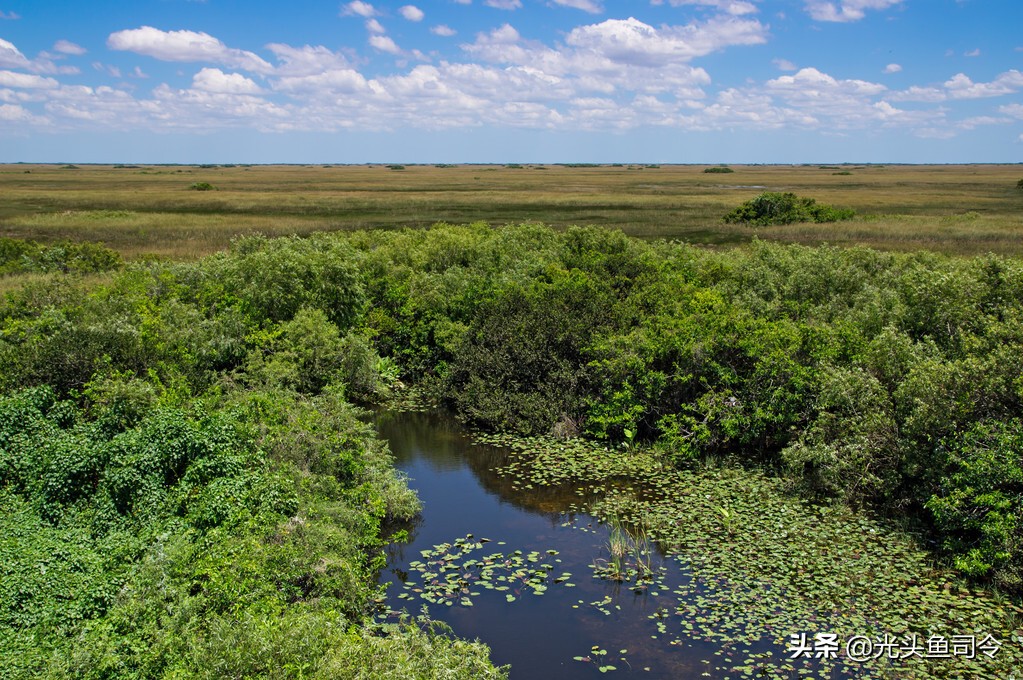 亚马逊河为什么被称为人类禁区,亚马逊河到底有多可怕