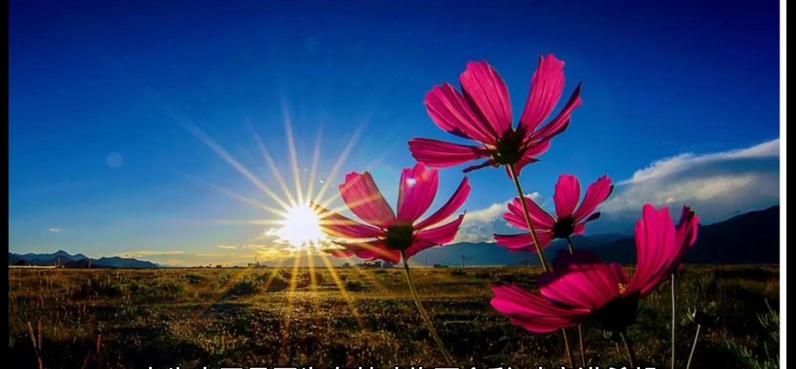 痛并快乐着的文案,痛并快乐着专辑正版