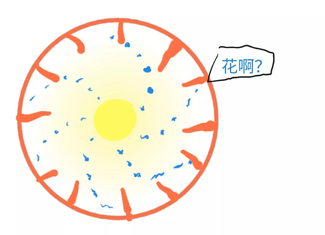 微波炉工作原理和危害,微波炉工作原理是怎样的