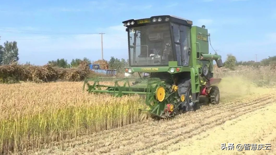 庆云县尚堂镇致富能手宗兴林：扎根乡土领路群众致富