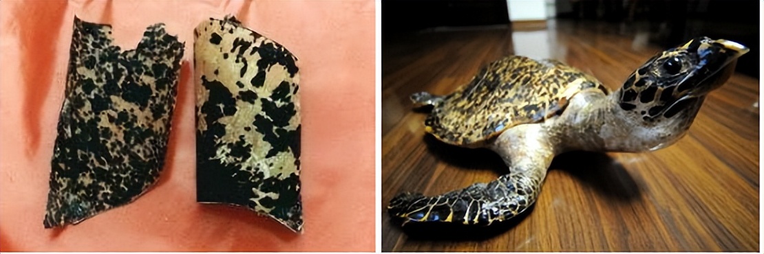 tr90眼镜架是什么材质的,什么材质的眼镜架不会让眼睛变形