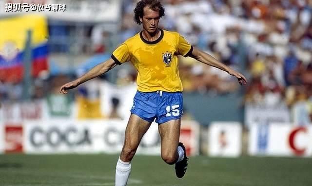 种子有多么关键,种子最重要的部分是哪里