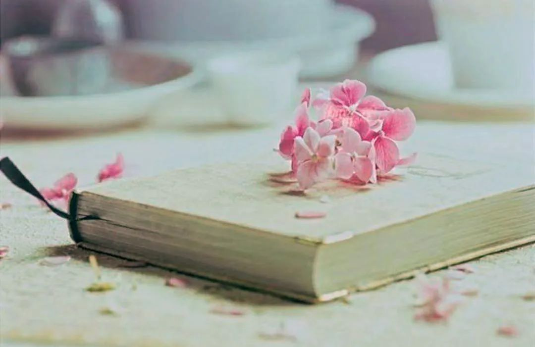 读书丰底蕴清气溢师心——临渭区胜利小学语文组教师读书分享活动