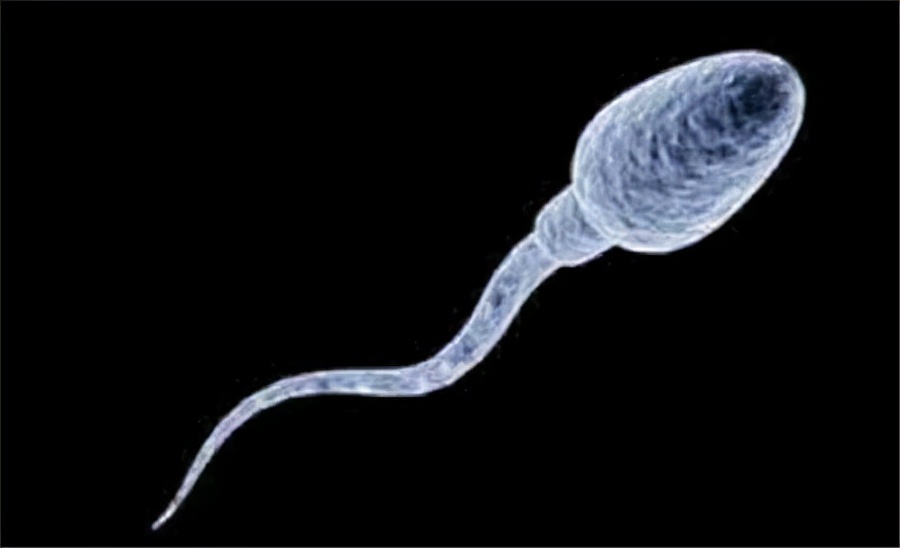 男生吃异维a酸有副作用吗,童诺异维a酸红霉素副作用