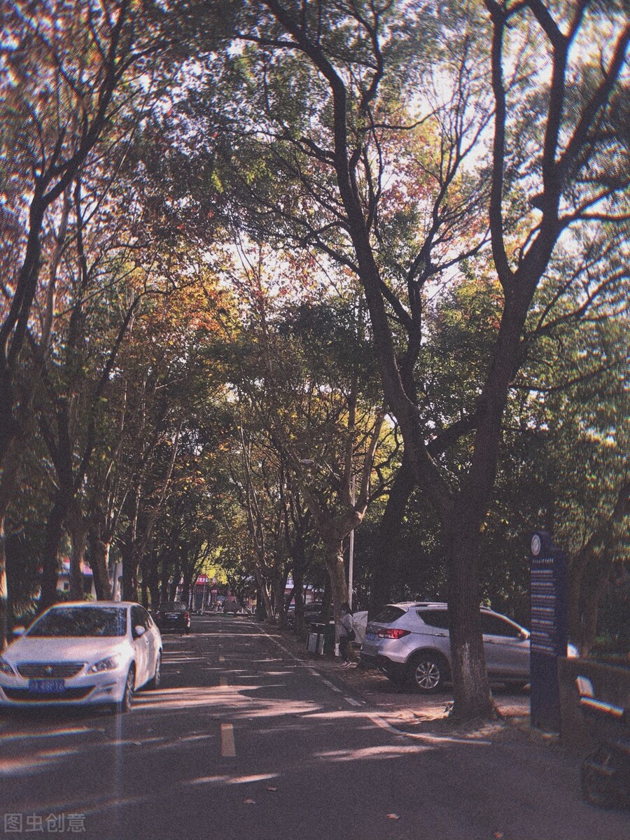 离离原上草一岁一枯荣的翻译,离离原上草一岁一枯荣诗句的意思