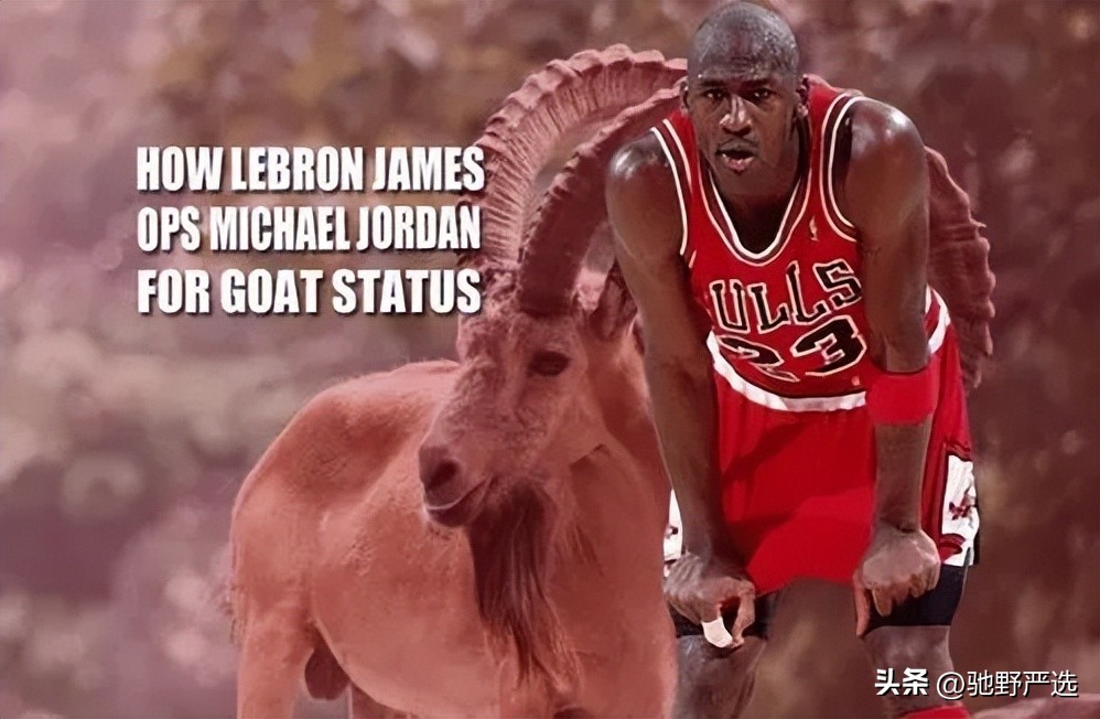 路易斯斯科拉长发图片,NBA纪实连载