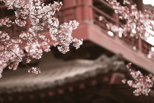 2022年优秀高考作文范例全国甲卷,2022全国乙卷英语高考作文怎么写