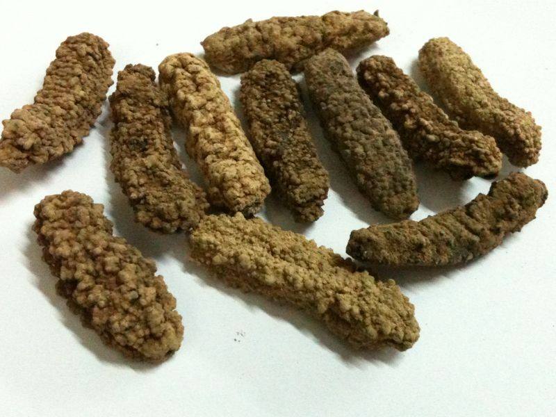 国足最新消息苏州,国足去苏州被拒