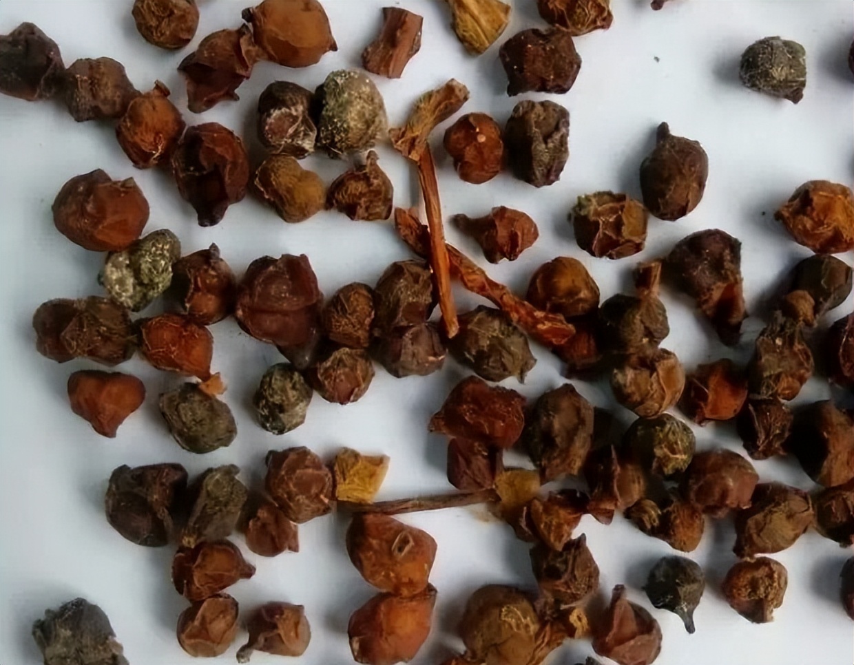 五味子南五味子有什么区别,南五味子和北五味子价格