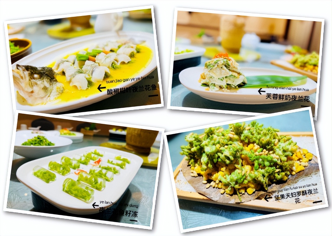 超美味肇庆吃出致富新路径,舌尖上的肇庆特色美食