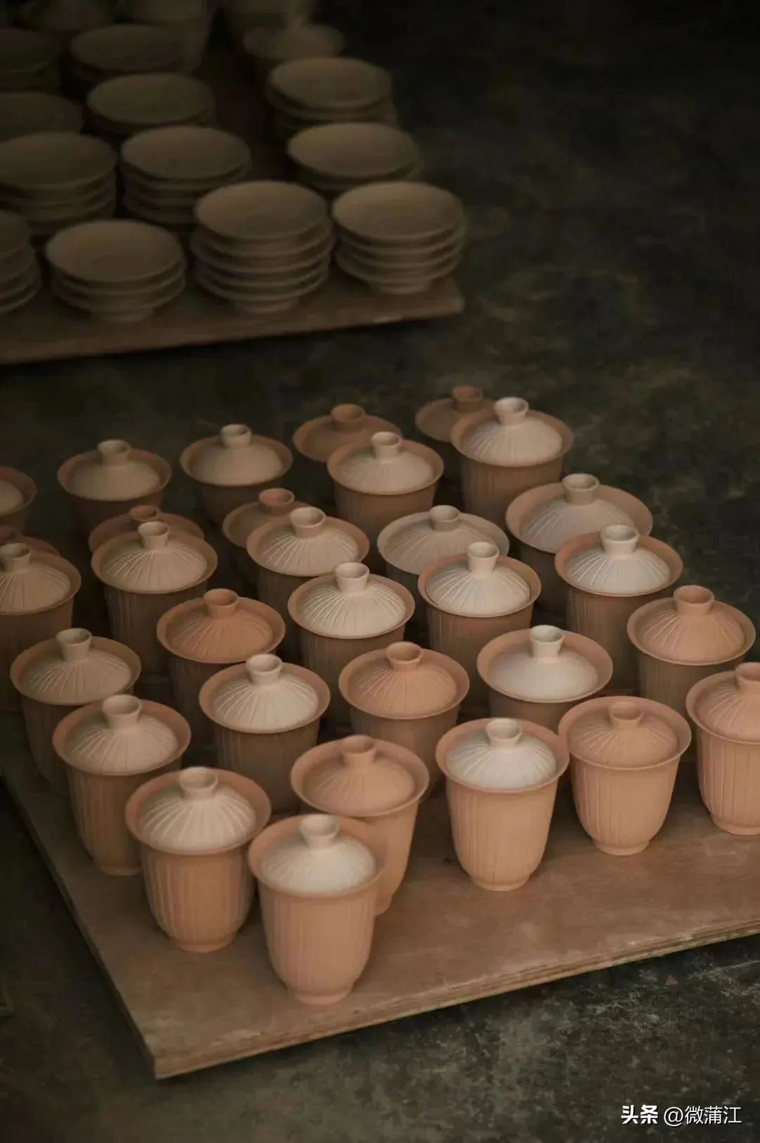 成都市全面推进乡村振兴意见建议,蒲江县乡村振兴