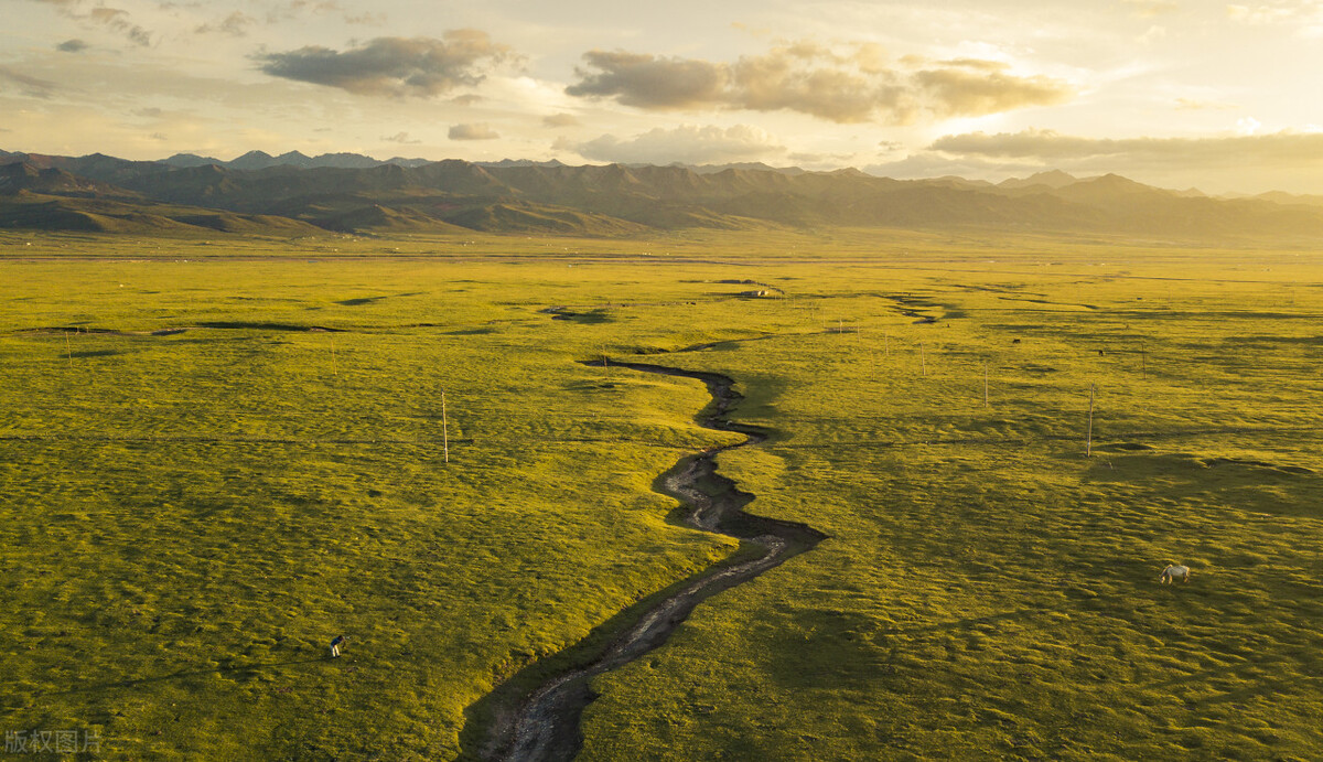 随笔清醒的爱情观,抑郁症的爱情观随笔