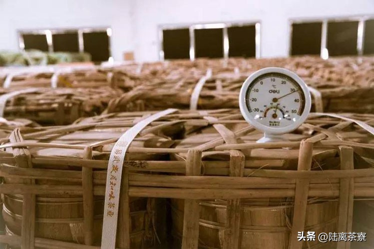 陈永堂与双陈普洱：深耕仓储，野望未来